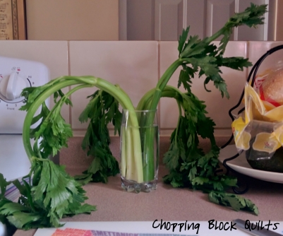 Sad Celery | Chopping Block Quilts